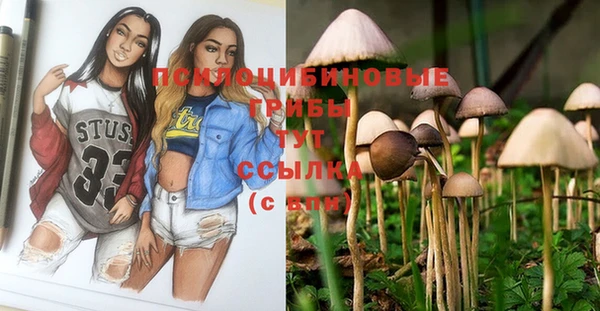 трава Заволжье